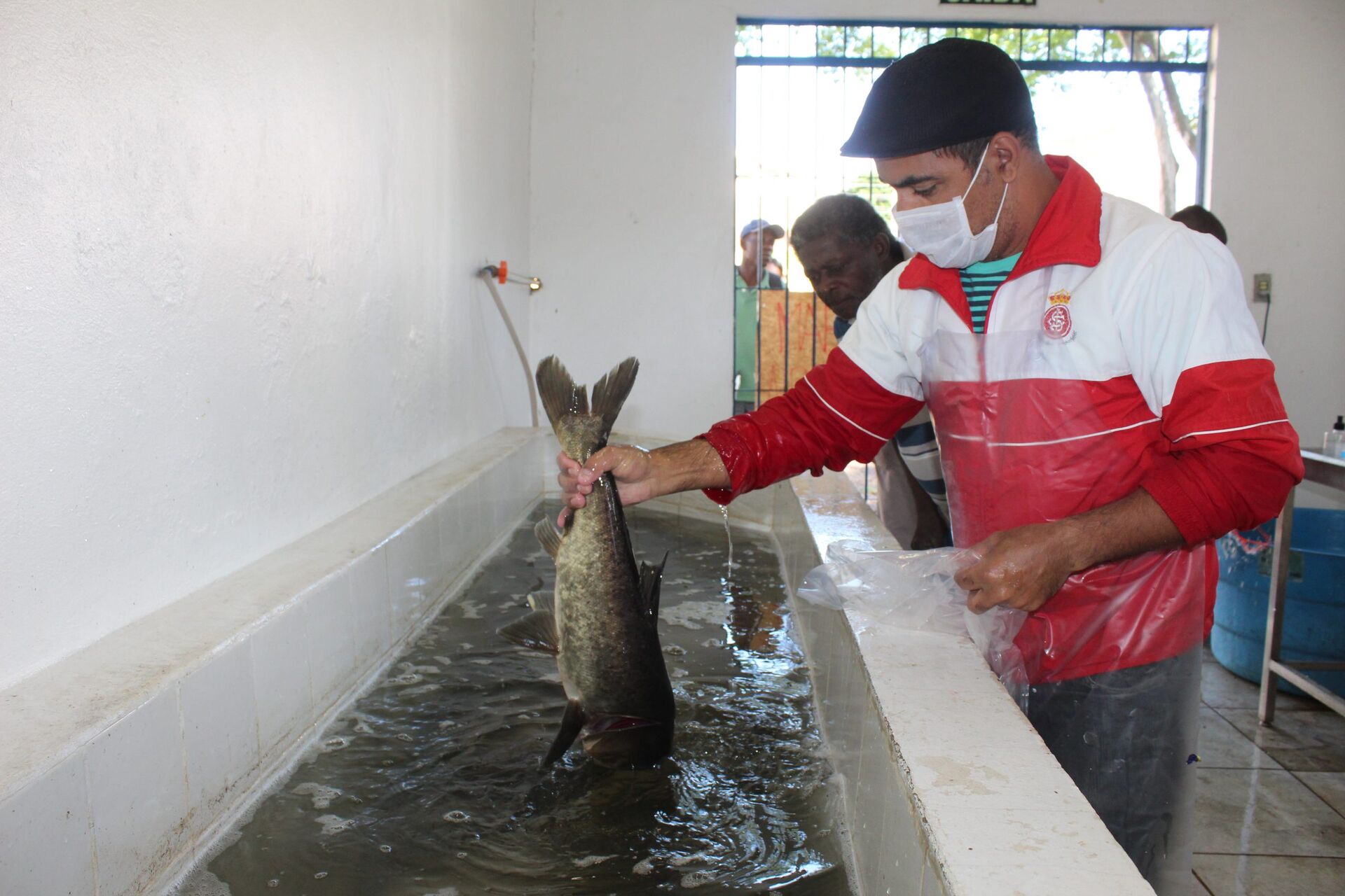 Feiras Do Peixe Vivo Iniciam Nesta Ter A Feira No Vale Do Taquari