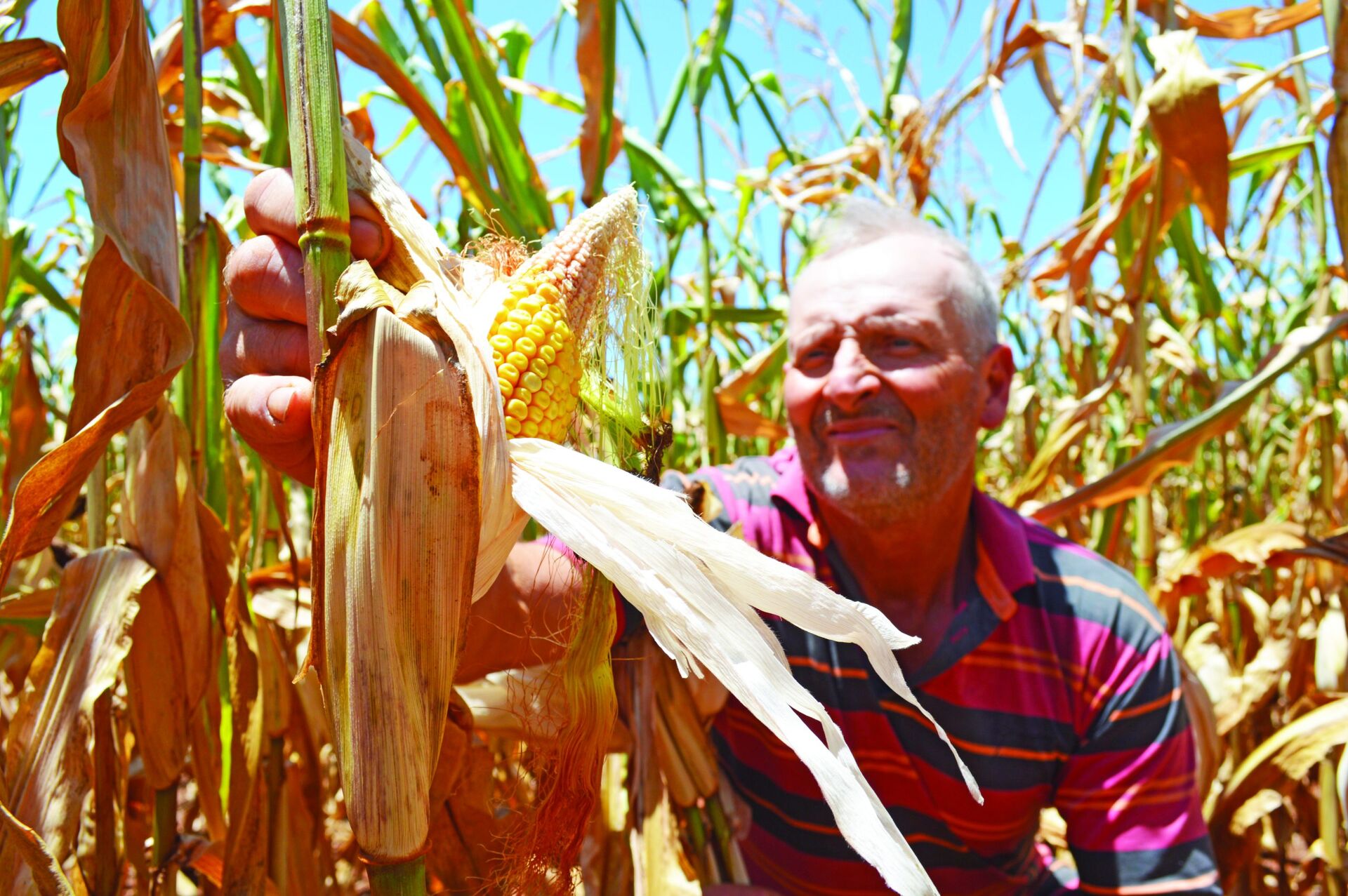 Agricultura Familiar Cobra Apoio Contra Estiagem Grupo A Hora