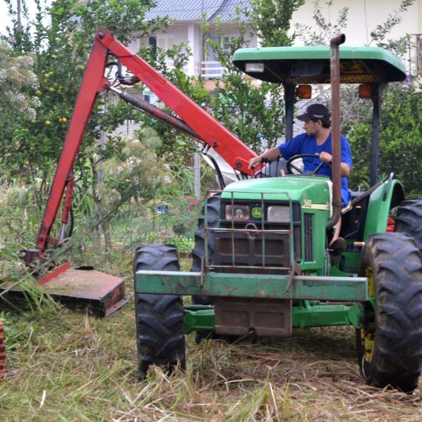 Proprietários têm 30 dias para roçar áreas