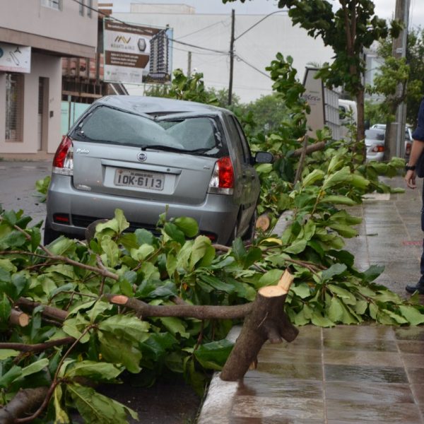 Vendaval provoca prejuízos pela região