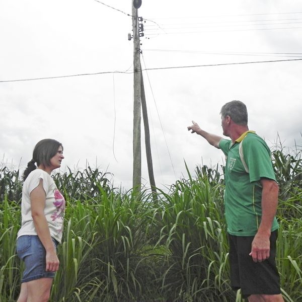 Rede de luz deficiente causa prejuízos