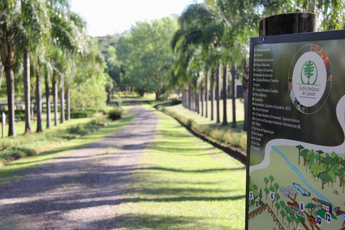 Iniciativa busca proteger aves silvestres