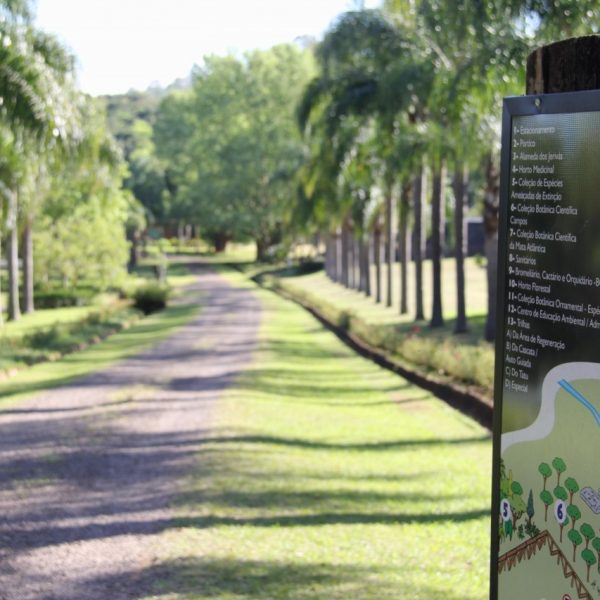 Iniciativa busca proteger aves silvestres