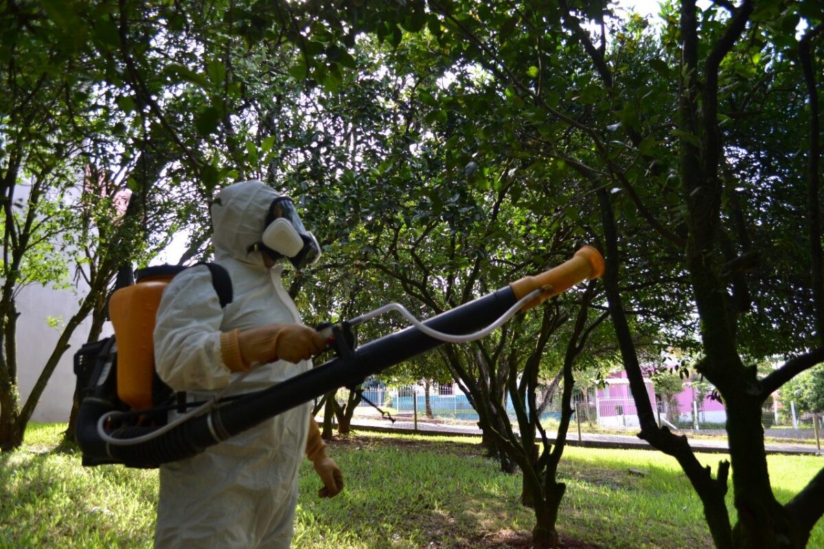 Insetos se espalham e exigem cuidado