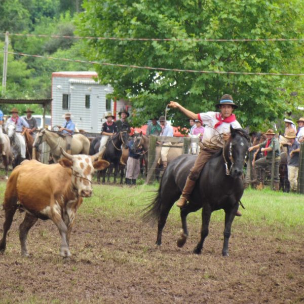 Rodeio Crioulo homenageia fundador