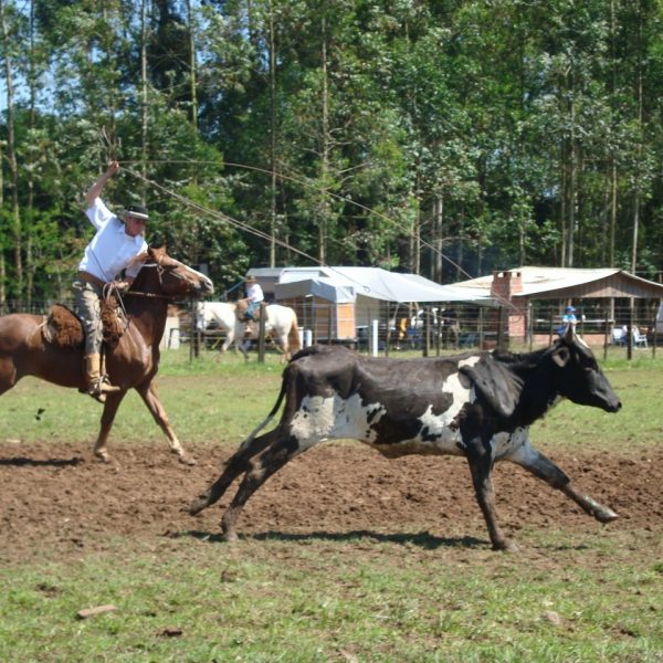 Rodeio de Progresso completa 58 anos