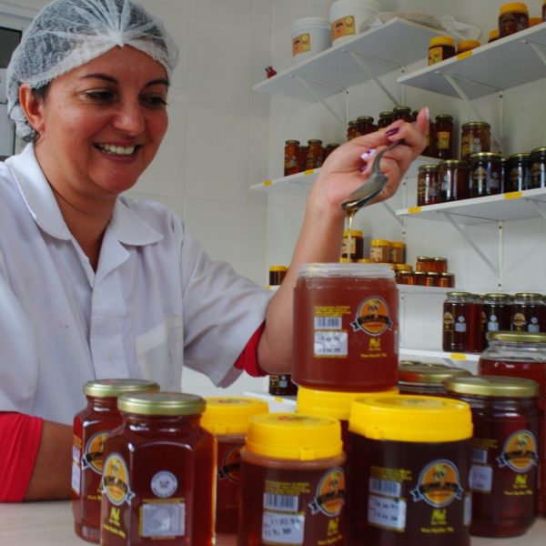Profissionalizados, apicultores expandem vendas