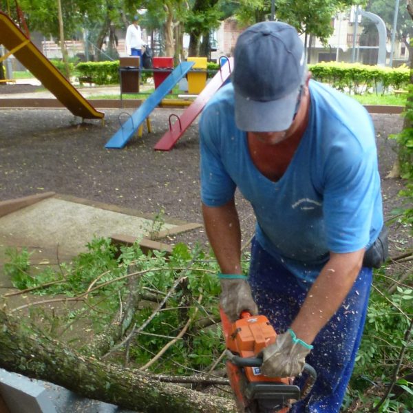 Moradores divergem sobre corte de árvores