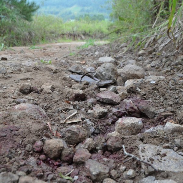 Motorista foge de abordagem e acaba morto