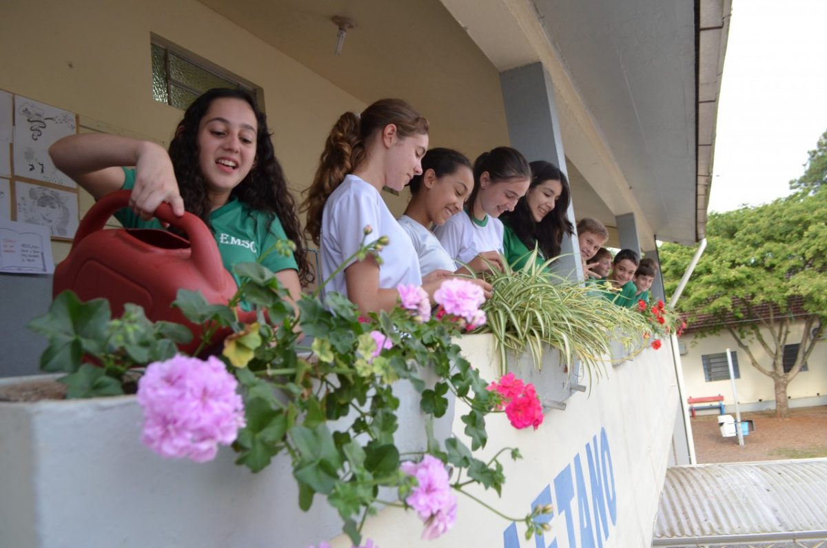 Escolas podem ter disciplina ambiental