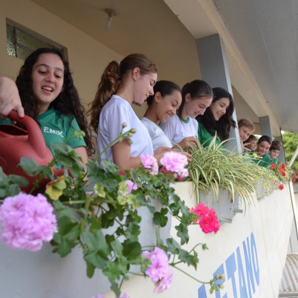 Escolas podem ter disciplina ambiental