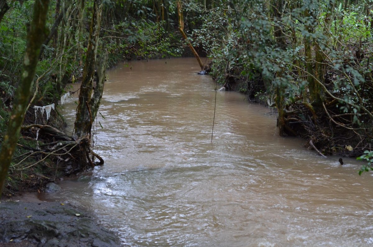 Projeto visa recuperar Arroio Saraquá