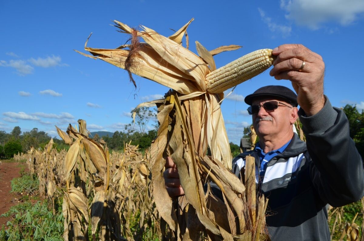 Encontro busca preservar sementes crioulas