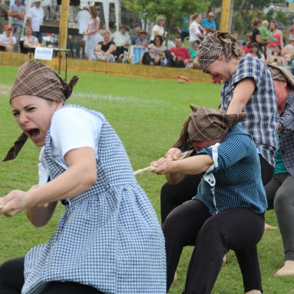 Jogos Germânicos serão destaque na Maifest