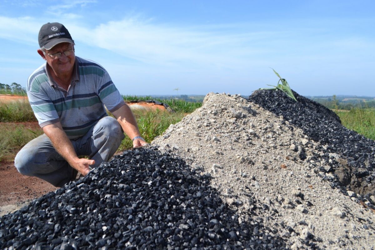 Cinzas ajudam  a recuperar o solo 