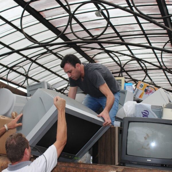 Dia do Ambiente mobiliza população