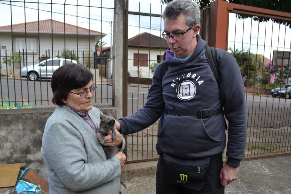 Nove animais morrem envenenados