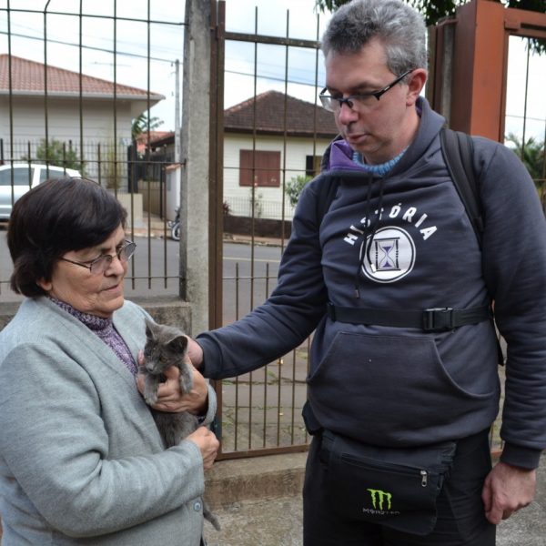 Nove animais morrem envenenados