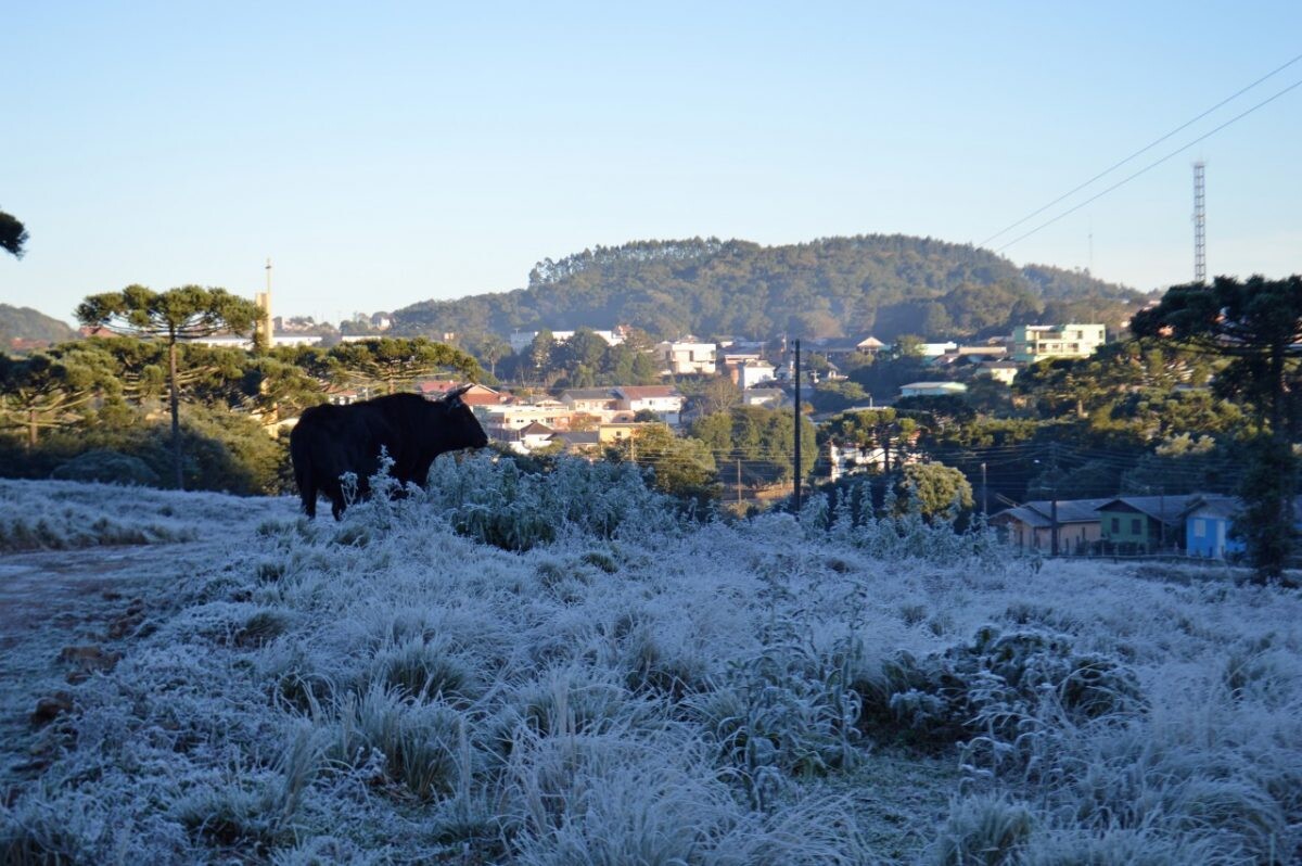 Frio congela a madrugada