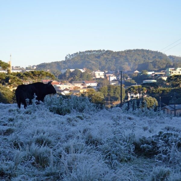 Frio congela a madrugada
