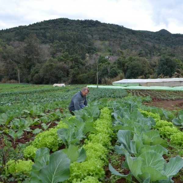 Agroecologistas querem ampliar oferta