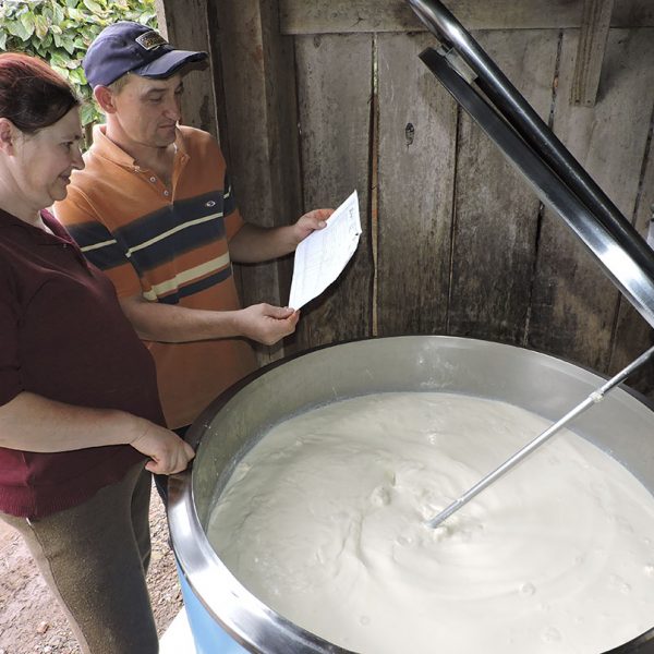Queda na produção eleva preço do leite
