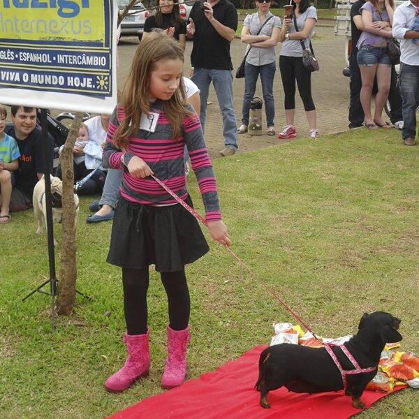 Pet Show incentiva a adoção de animais