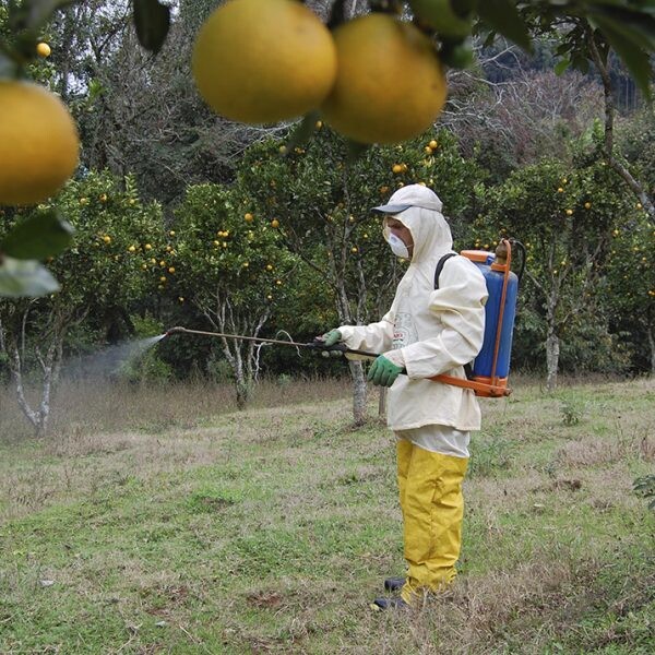 Audiência expõe efeitos dos agrotóxicos