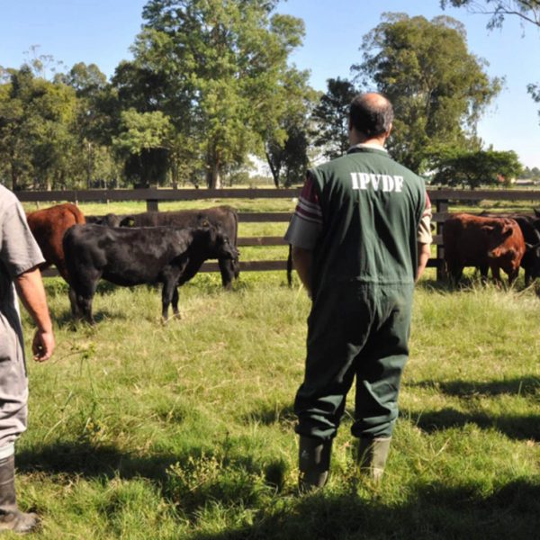 Justiça condena Estado a indenizar agricultor de Anta Gorda