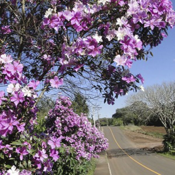 Divulgados vencedores do Concurso Fotográfico de Colinas