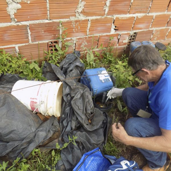 Vigilância encontra larvas de aedes aegypti