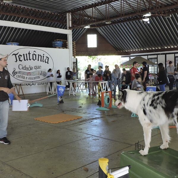 Palestra debate a relação com cães