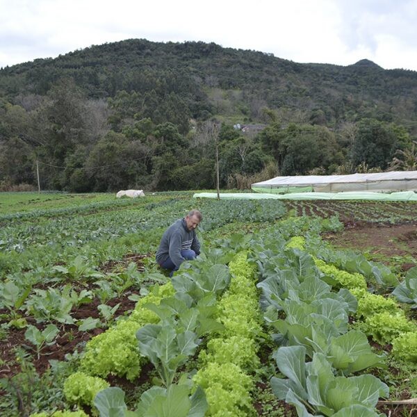 Solicitação do Pacote Agrícola vai até 29 de outubro