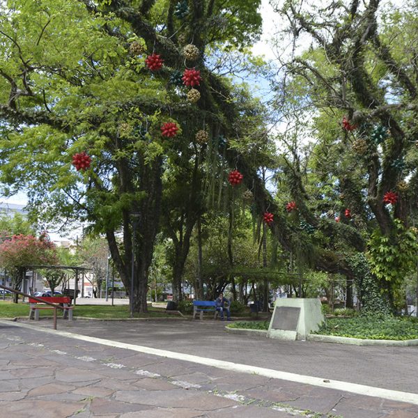 Decoração de Natal será entregue no dia 24