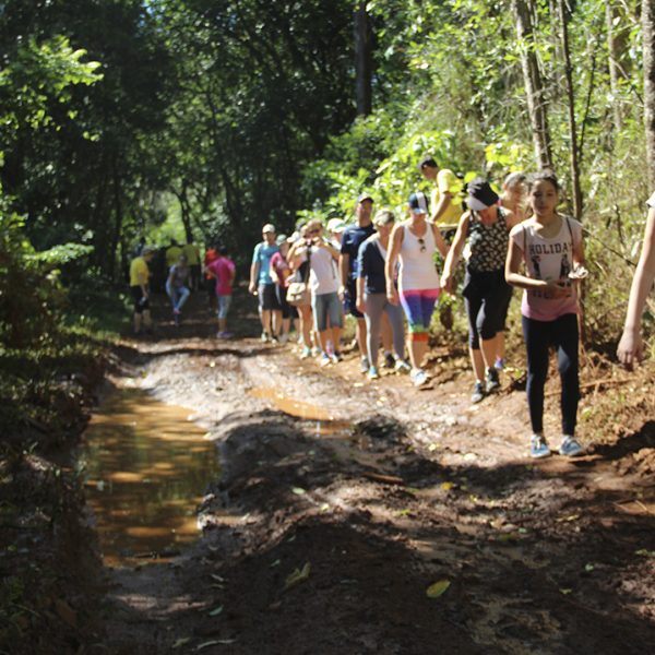 Caminhada Ecológica revela belezas