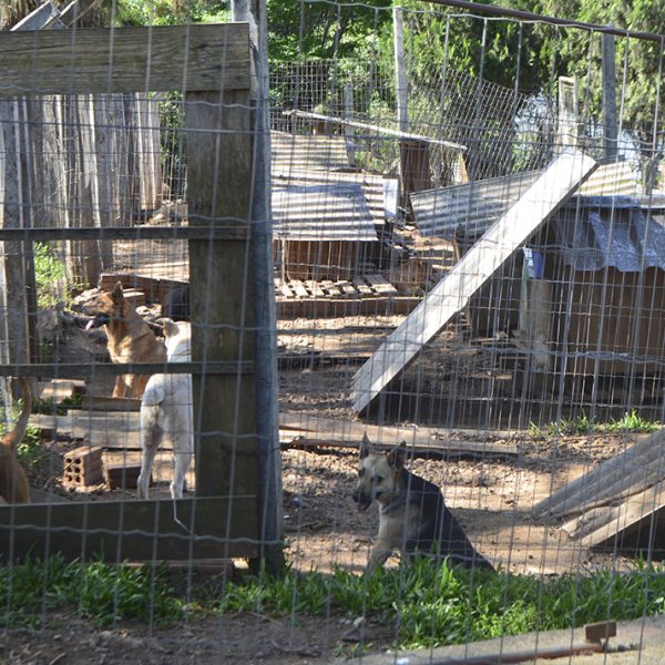 Projeto prevê reestruturação da Apama