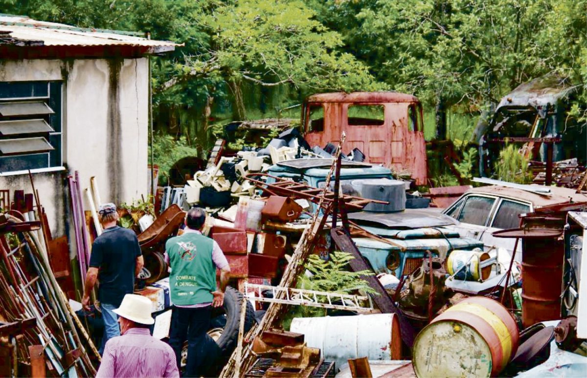 Mobilização combate mosquito da dengue