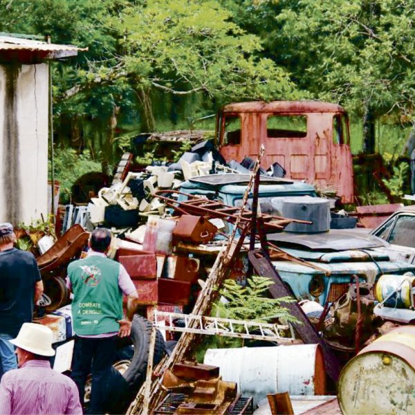 Mobilização combate mosquito da dengue