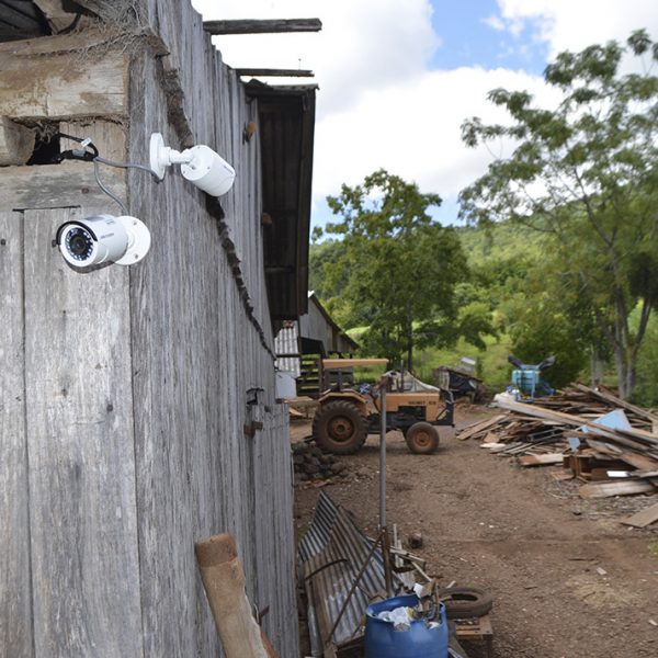 Agricultores inovam em medidas de segurança