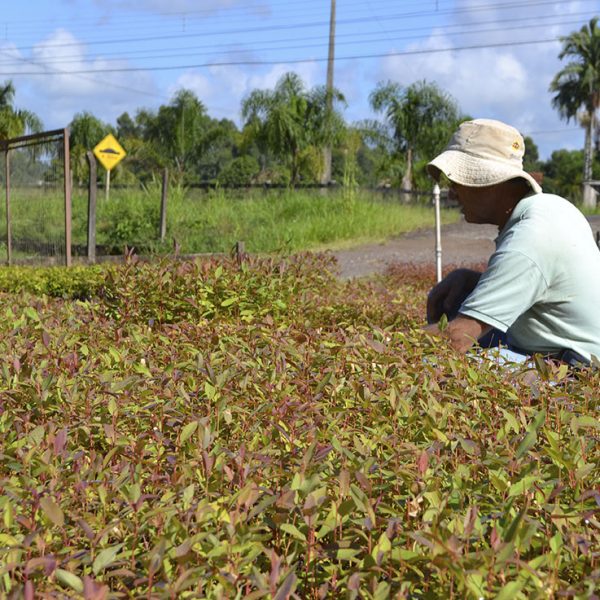 Agricultores protestam contra reforma