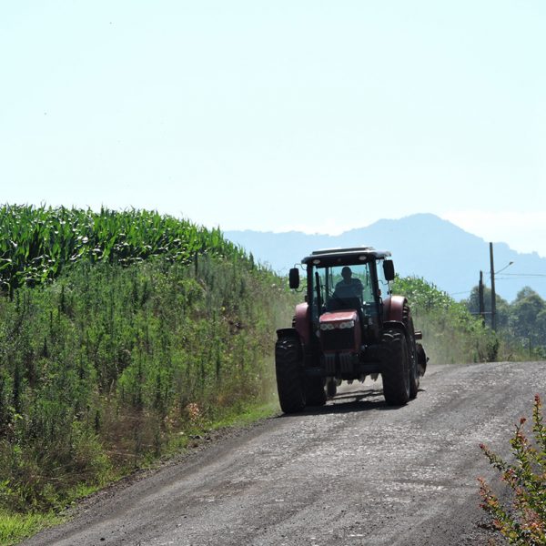 Executivo quer aumentar auxílio do Pacote Agrícola