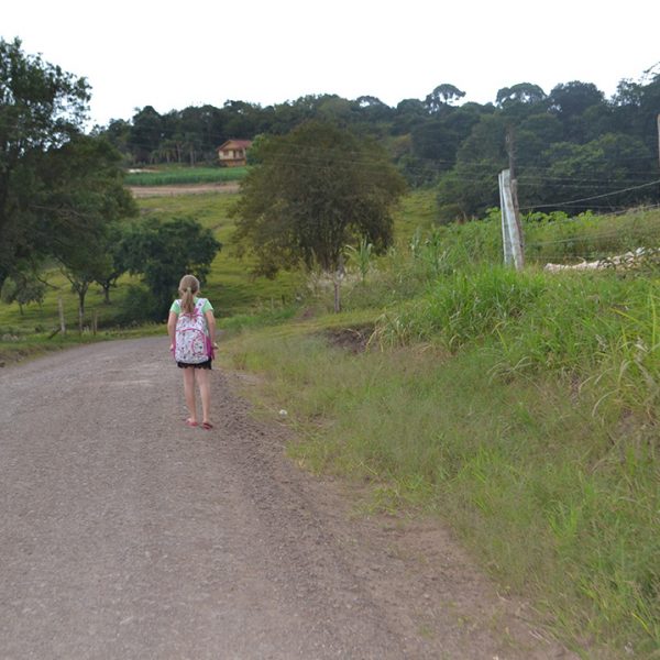 Câmara analisa mudanças na  concessão de transporte escolar