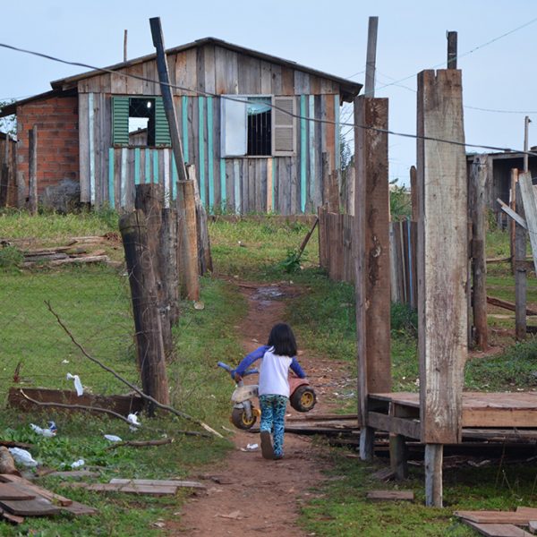 Sthas aponta mais de 70 famílias invasoras