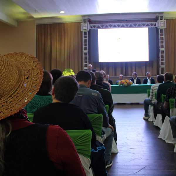 Ação estimula produção sem agrotóxicos