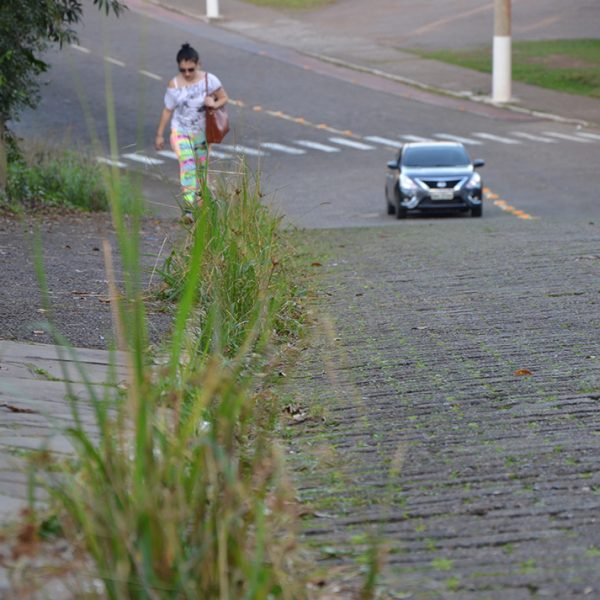 Após seis meses, governo reinicia capina em ruas