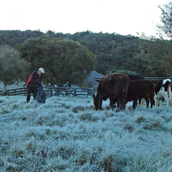 Frente fria modifica cenários. Mínimas podem chegar a -5°C