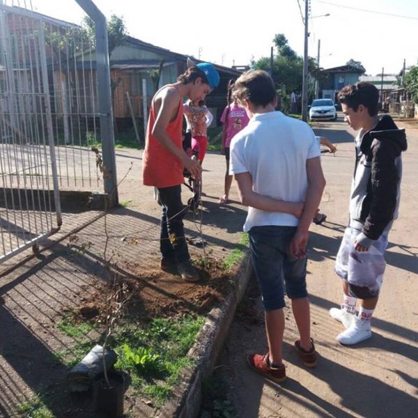 Jovens plantam pitangueiras no Moinhos