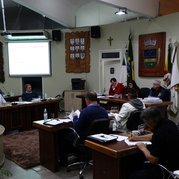 Parlamentares cogitam criar guarda municipal