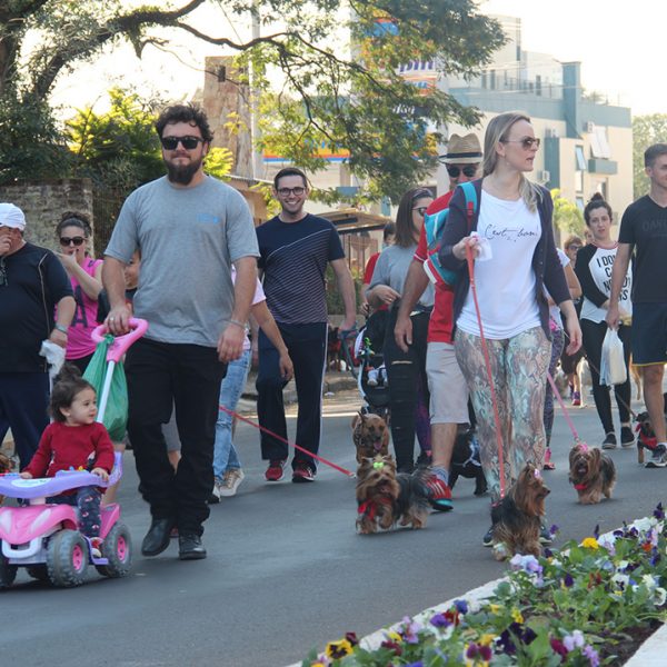 Cãominhada arrecada ração para ajudar ONG