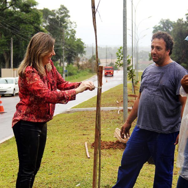 Av. Amazonas recebe terceira etapa do Lajeado Mais Verde